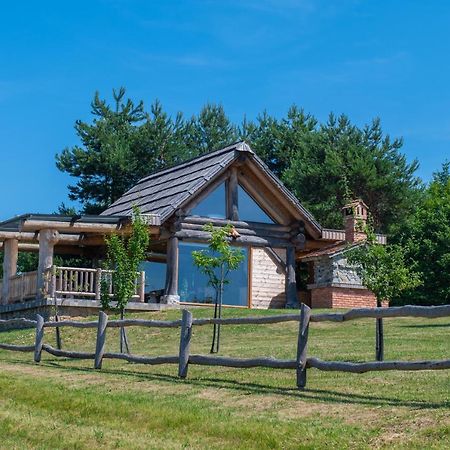 Holiday Home Ernest Zelezni With Hot Tub Ivancna Gorica 外观 照片