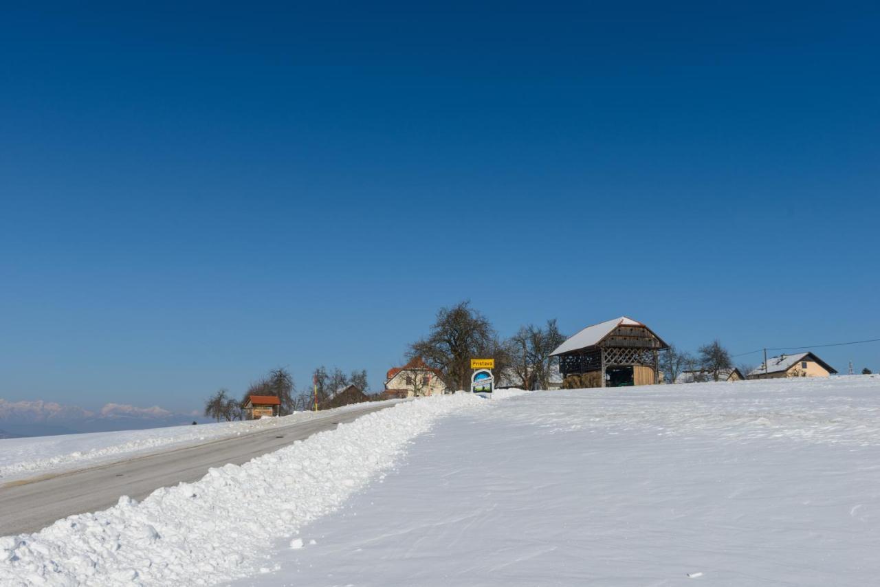 Holiday Home Ernest Zelezni With Hot Tub Ivancna Gorica 外观 照片